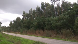 Land for sale in Mira, Portugal — €13,500