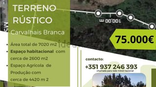Land for sale in Albergaria-a-Velha, Portugal — €75,000
