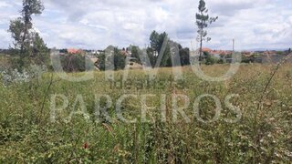 Land for sale in Anadia, Portugal — €63,000