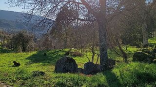 Land for sale in Amarante, Portugal — €60,000