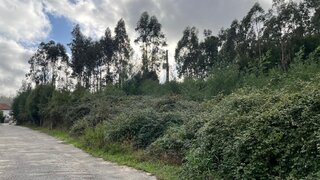 Land for sale in Oliveira de Azeméis, Portugal — €80,000