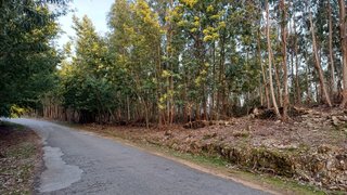 Land for sale in Arouca, Portugal — €55,000