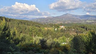 Land for sale in Arganil, Portugal — €135,000
