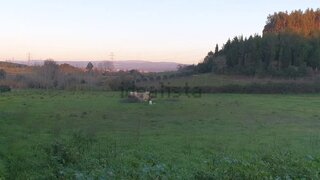 Land for sale in Anadia, Portugal — €90,000