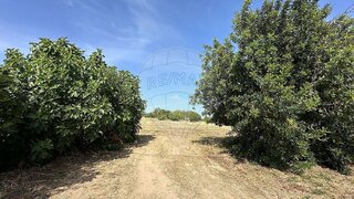 Land for sale in Barcelos, Portugal — €1,400,000