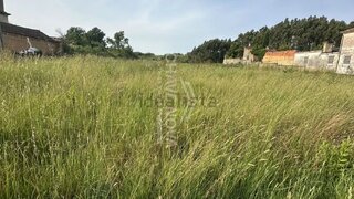 Land for sale in Anadia, Portugal — €60,000