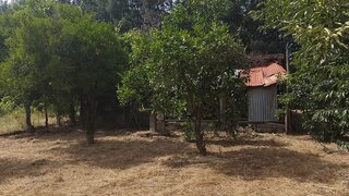 Land for sale in Oliveira do Hospital, Portugal — €50,000