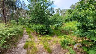 Land for sale in Celorico de Basto, Portugal — €20,000
