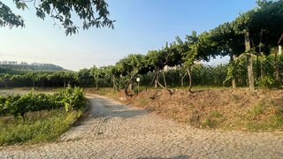 Land for sale in Amarante, Portugal — €45,000
