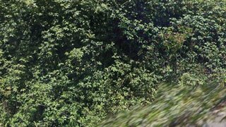 Land for sale in Cabeceiras de Basto, Portugal — €80,000