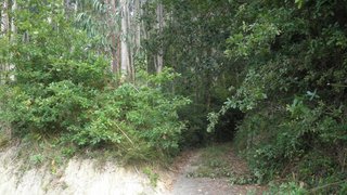 Land for sale in Sever do Vouga, Portugal — €65,000