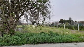 Land for sale in Figueira da Foz, Portugal — €35,000