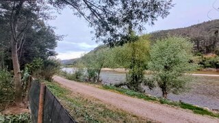 Terreno de 2000 m² em Coimbra
