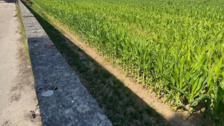 Terreno de 4256 m² em Aveiro