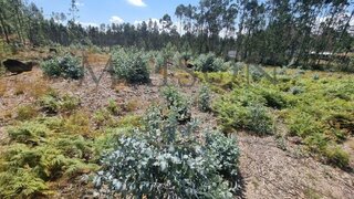 Land for sale in Paços de Ferreira, Portugal — €115,000