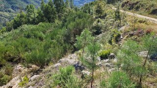 Terreno em Terras de Bouro