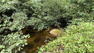 Land for sale in Oliveira do Hospital, Portugal — €29,900