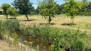 Land for sale in Águeda, Portugal — €700,000