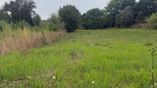Terreno para venda em Oliveira do Bairro, Portugal — 120 000 €