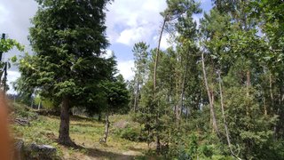 Land for sale in Vieira do Minho, Portugal — €616,800