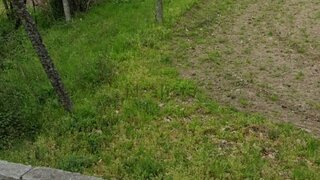 Land for sale in Penafiel, Portugal — €119,990