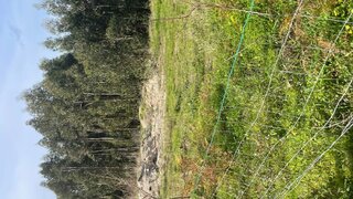 Terreno de 13 780 m² em Coimbra