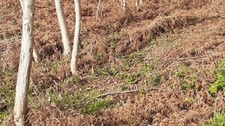 Land for sale in Santa Maria da Feira, Portugal — €120,000