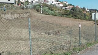 Land for sale in Baião, Portugal — €120,000