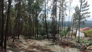Land for sale in Santa Maria da Feira, Portugal — €130,000