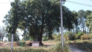 Land for sale in Marco de Canaveses, Portugal — €294,000