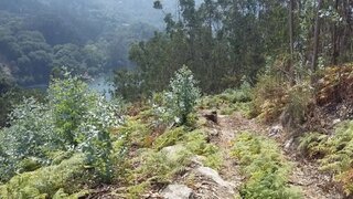 Land for sale in Terras de Bouro, Portugal — €150,000