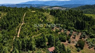 Terreno em Condeixa-a-Nova · 10 978 m² · 49 920 €