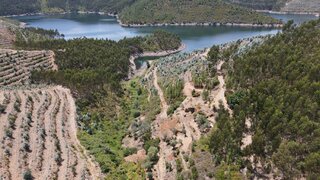 Terreno em Pampilhosa da Serra · 14 000 m² · 79 000 €