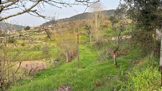 Terreno para venda em Amarante, Portugal — 36 000 €