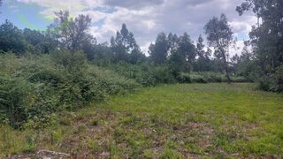 Land for sale in Santo Tirso, Portugal — €89,000