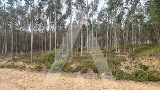 Land for sale in Oliveira de Azeméis, Portugal — €150,000