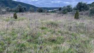 Land for sale in Condeixa-a-Nova, Portugal — €10,500