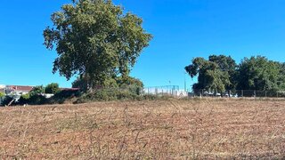 Terreno de 823 m² em Porto