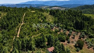 Land for sale in Condeixa-a-Nova, Portugal — €49,920