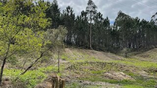 Terreno de 33 816 m² em Coimbra