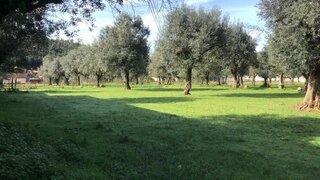 Land for sale in Góis, Portugal — €30,000