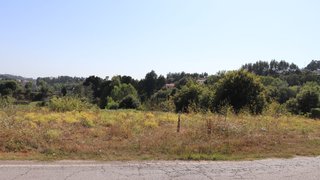 Land for sale in Oliveira de Azeméis, Portugal — €89,000