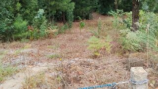 Terreno para venda em Paredes, Portugal — 60 000 €