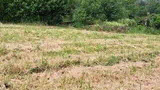 Land for sale in Santo Tirso, Portugal — €80,000