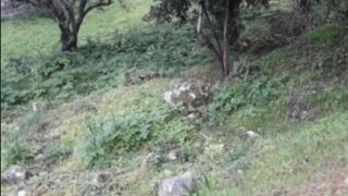 Land for sale in Condeixa-a-Nova, Portugal — €25,000