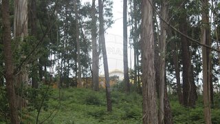 Land for sale in Figueira de Castelo Rodrigo, Portugal — €20,000