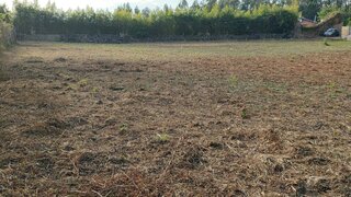 Land for sale in Santa Maria da Feira, Portugal — €150,000