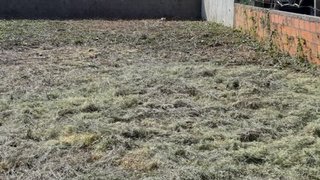 Land for sale in Ovar, Portugal — €100,000