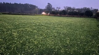 Land for sale in Ovar, Portugal — €250,000