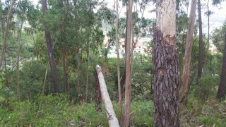 Land for sale in Coimbra, Portugal — €140,000